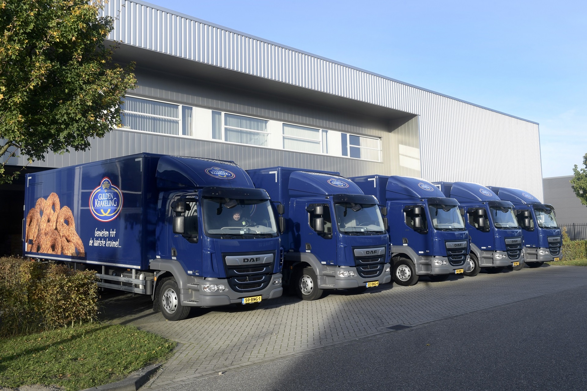 daf-lf-gulden-krakeling-van-hooft