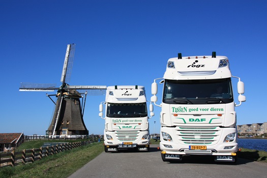 DAF-CF-Tijssen-Blom DSW-2